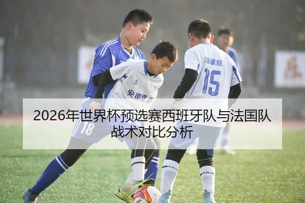 2026年世界杯预选赛西班牙队与法国队战术对比分析