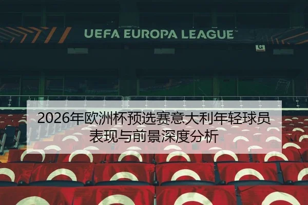 2026年欧洲杯预选赛意大利年轻球员表现与前景深度分析