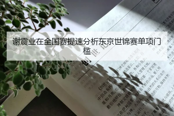 谢震业在全国赛提速分析东京世锦赛单项门槛