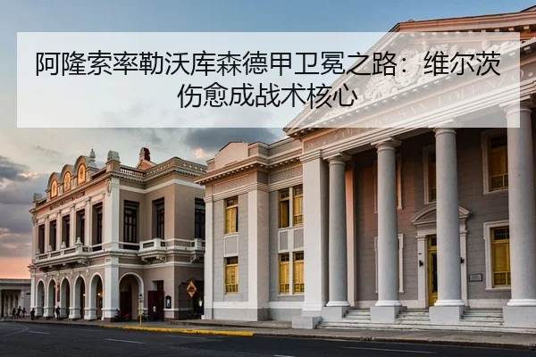 a-long-suo-lv-lei-wo-ku-sen-de-jia-wei-mian-zhi-lu-wei-er-ci-shang-yu-cheng-zhan-shu-he-xin-3-305.jpg