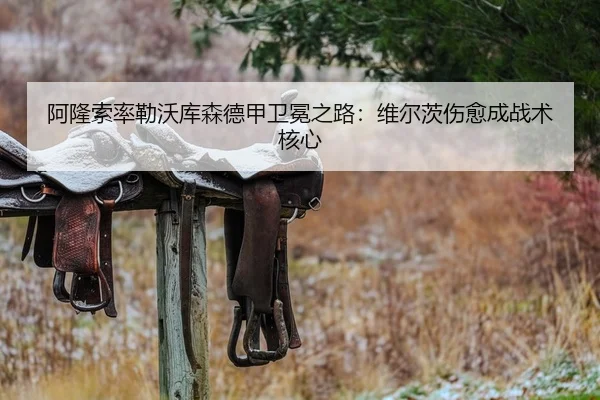 阿隆索率勒沃库森德甲卫冕之路：维尔茨伤愈成战术核心