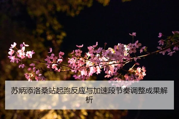 su-bing-tian-luo-sang-zhan-qi-pao-fan-ying-yu-jia-su-duan-jie-zou-tiao-zheng-cheng-guo-jie-xi-2-456.jpg