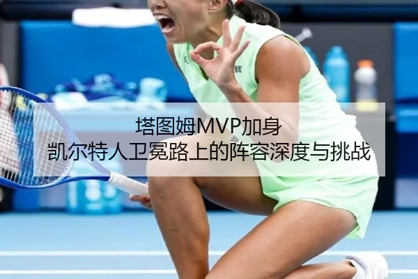 ta-tu-mu-jia-shen-kai-er-te-ren-wei-mian-lu-shang-de-zhen-rong-shen-du-yu-tiao-zhan-3-338.jpg